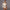 Damen Einseitiger Bodysuit mit transparenten Akzenten W&W