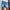 Damen Denim-Shorts mit asymmetrischem Saum und distressed Effekten WW