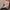 Damen Strickpullover mit V-Ausschnitt und luftiger Struktur WW
