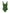 Damen Badeanzug mit strukturiertem Design WW