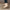 Damen elegante Blockabsatz-Ballerinas aus weichem Leder W&W