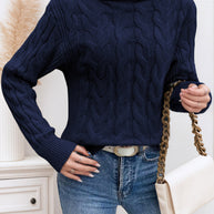 Damen Rollkragenpullover mit strukturiertem Zopfmuster WW