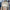 Damen Strickjacke mit floralen Akzenten WW