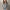 Einfacher und stilvoller Winterpullover