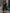WW | Bodycon Rundhals Ärmellose Mini Kleid
