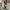 Damen Bodycon-Kleid mit asymmetrischem Ausschnitt und Rüschendetails WW