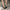 Damen Elegante Plateau-Pumps mit verstellbarem Riemen W&W