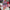 Damen Strickkleid mit festlichem Weihnachtsdesign WW