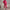Damen bequemer Kapuzenpullover aus weichem Baumwollmix WW
