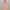Damen Jumpsuit mit tiefem V-Ausschnitt und weitem Bein WW