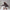 Damen Strickpullover mit verspieltem Pilzmotiv WW
