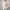Damen Strickjacke mit Struktur und praktischen Taschen WW