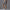 Damen Rad-Shorts mit hohem Bund und praktischen Seitentaschen WW