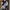 Damen Strickoberteil mit V-Ausschnitt und sportlichem Muster WW