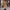 Damen Strickkleid mit hohem Kragen und feinem Rippenmuster WW