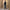Damen Bestickte Samt Slipper WW