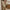 Damen Strickpullover mit V-Ausschnitt und Zopfmuster WW