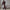 Damen bequeme Sweatshirt- und Jogginghose-Kombination WW