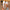 Damen atmungsaktive Ballerinas mit elegantem Lochmuster und rutschfester Sohle WW