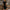 Damen Abendkleid mit funkelnden Details und elegantem Schnitt WW