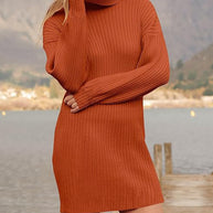 Damen Strickkleid mit hohem Kragen und feinem Rippenmuster WW