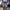 Damen Denim-Shorts mit klassischem Schnitt und feinen Nadelstreifen WW