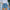 Damen Destroyed Denim-Shorts mit hohem Bund und ausgefranstem Saum WW