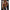 Damen Bikerjacke aus Kunstleder mit eleganter Schnalle und Taschen WW
