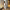 Damen Abendkleid W&W