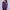Damen Strickjacke mit geometrischem Muster und Knopfdetails WW