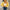 WW | Strick-Cardigan mit Blumenmuster Für Frauen