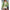 Damen Strickjacke mit floralen Applikationen WW