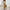 Damen Sommerkleid mit romantischem Zitronenprint WW