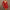 Damen elegantes Minikleid mit tiefem V-Ausschnitt und Rüschendetails W&W