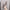 Damen Bequeme Zehentrenner mit geflochtenem Design WW
