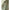 Damen Besticktes Chiffon Maxi Kleid WW