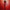 WW | Durchsichtiges Leopardenmuster Bodycon Rückenfreies Langkleid