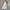 WW | Mini Cocktailkleid Schulterfreies Abendkleid Mit Schleifendetail