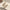 Damen Modische Mules mit elegantem V-Ausschnitt W&W