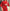 Damen Maximaler Oversized Mantel mit Schulterschultern und Doppelreihe WW