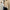 Damen Strickpullover mit Stehkragen und Zopfmuster WW