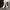 Damen weite Cordhose mit elegantem Schnitt und hohem Bund WW