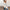 Damen Strickjacke mit modernen Knopfdetails und tiefem V-Ausschnitt WW