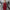 Damen All-in-One Jumpsuit mit tiefem Ausschnitt und figurbetontem Schnitt WW