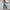 Damen Oversized Jumpsuit mit Puffärmeln und elastischem Taillenbund WW