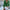 Damen Bluse mit floralem Muster und tiefem V-Ausschnitt WW