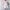 WW | Bedrucktes, taillenbetontes U-Ausschnitt Elegantes Kleid