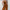 Damen Hochwertiger Jumpsuit mit schulterfreiem Design und weitem Bein WW