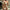 Damen Triangel-Bikini mit stilvollen Doppelring-Details WW
