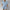 Damen Kurzarm Hemdbluse mit strukturiertem Obermaterial WW